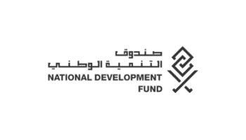 تنظيم صندوق التنمية الوطني